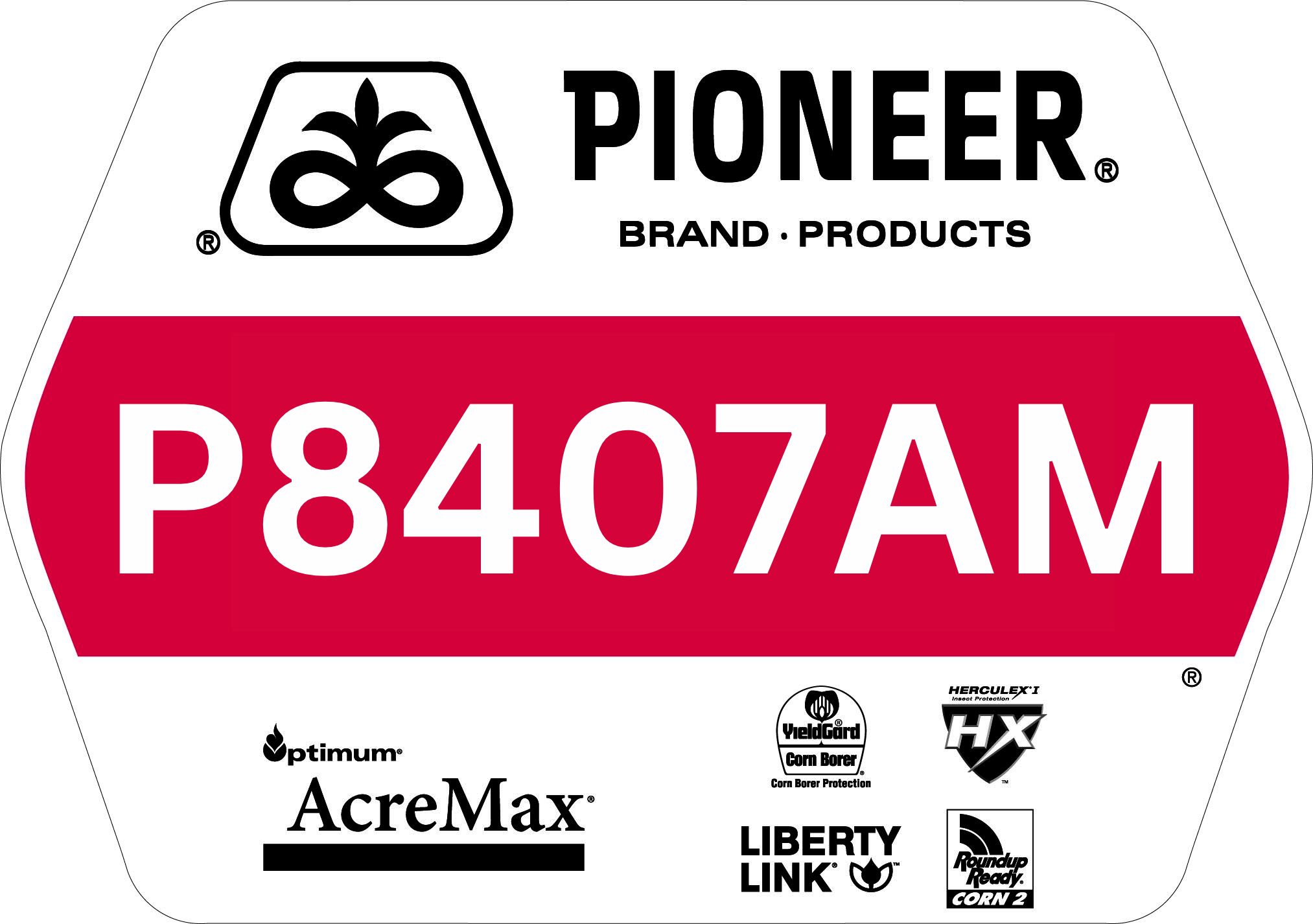 Seed - Pioneer - Corn - P8407AM