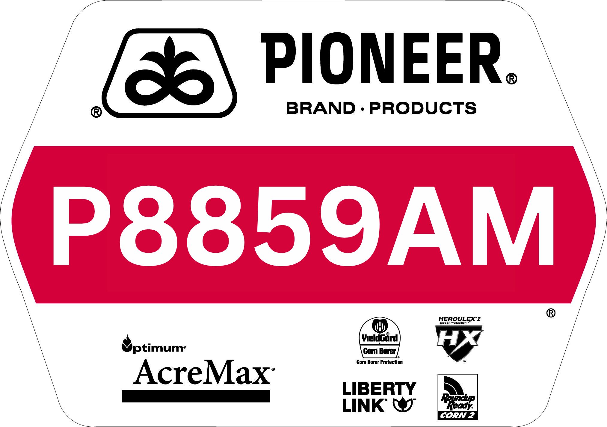 Seed - Pioneer - Corn - P8859AM