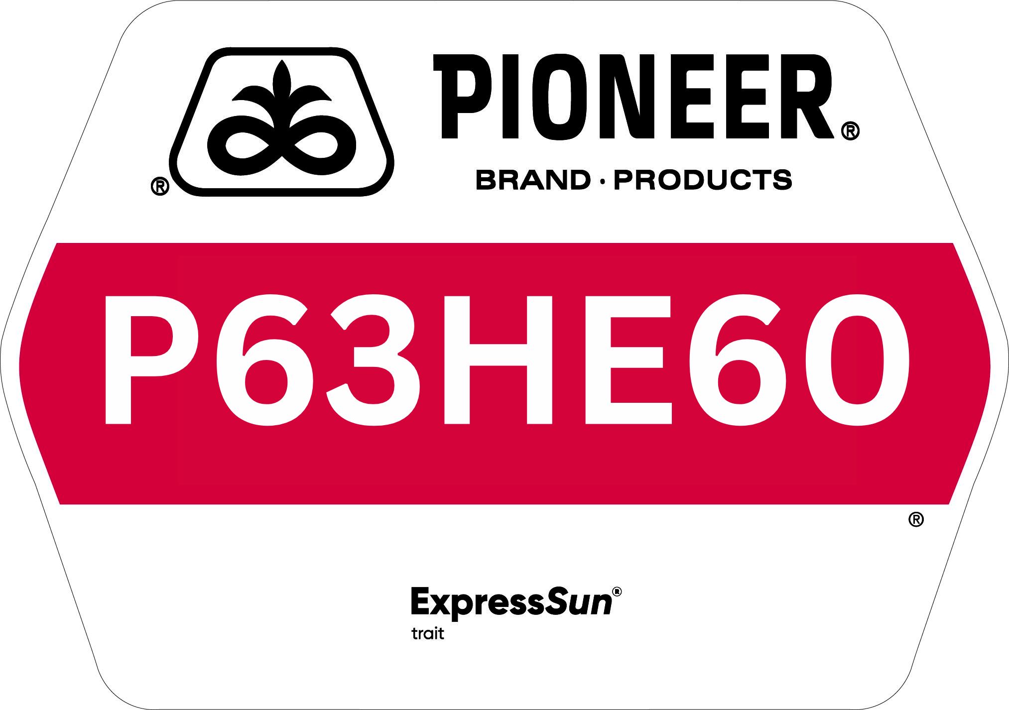 Seed - Pioneer - Sunflowers - P63HE60
