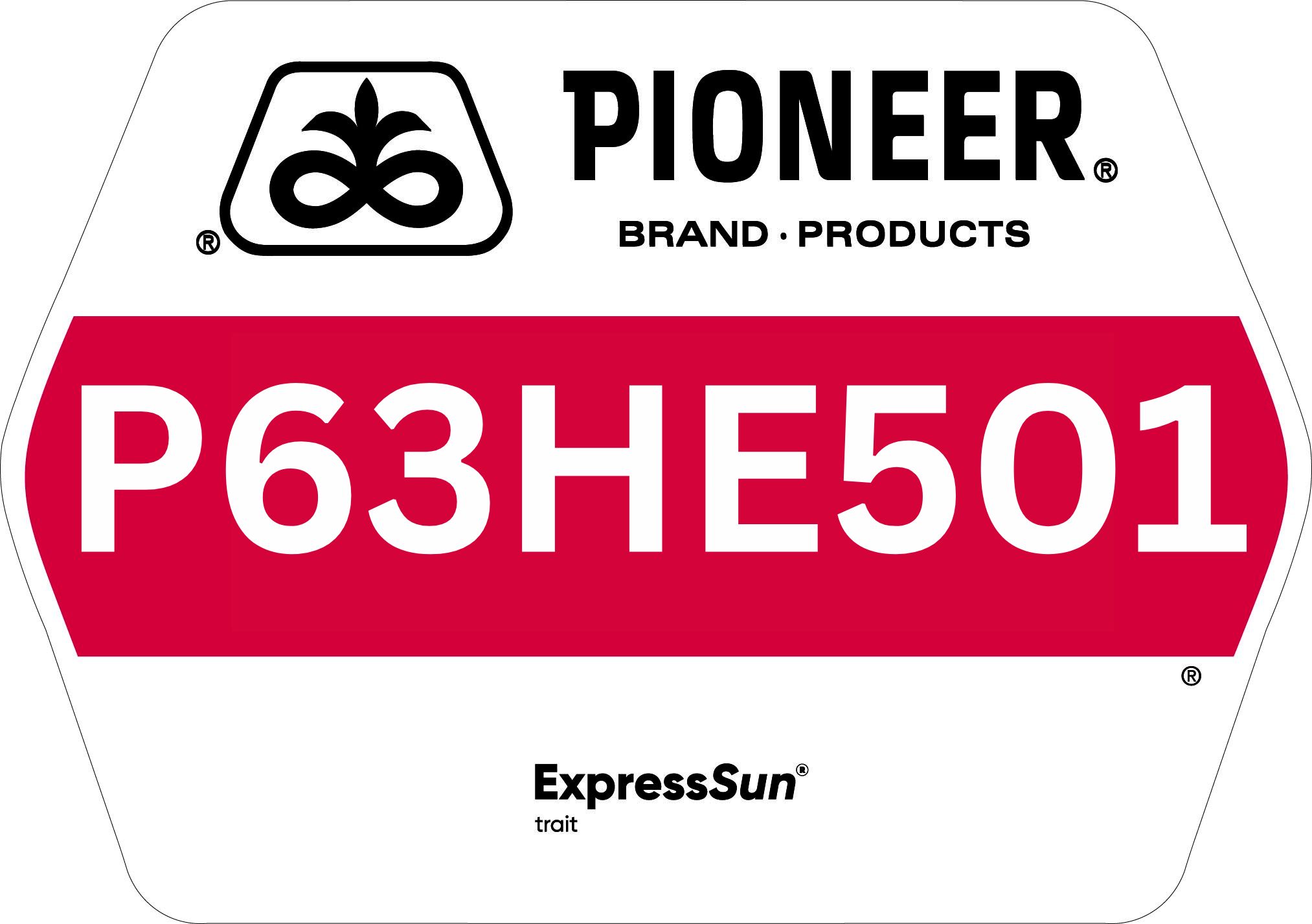 Seed - Pioneer - Sunflowers - P63HE501