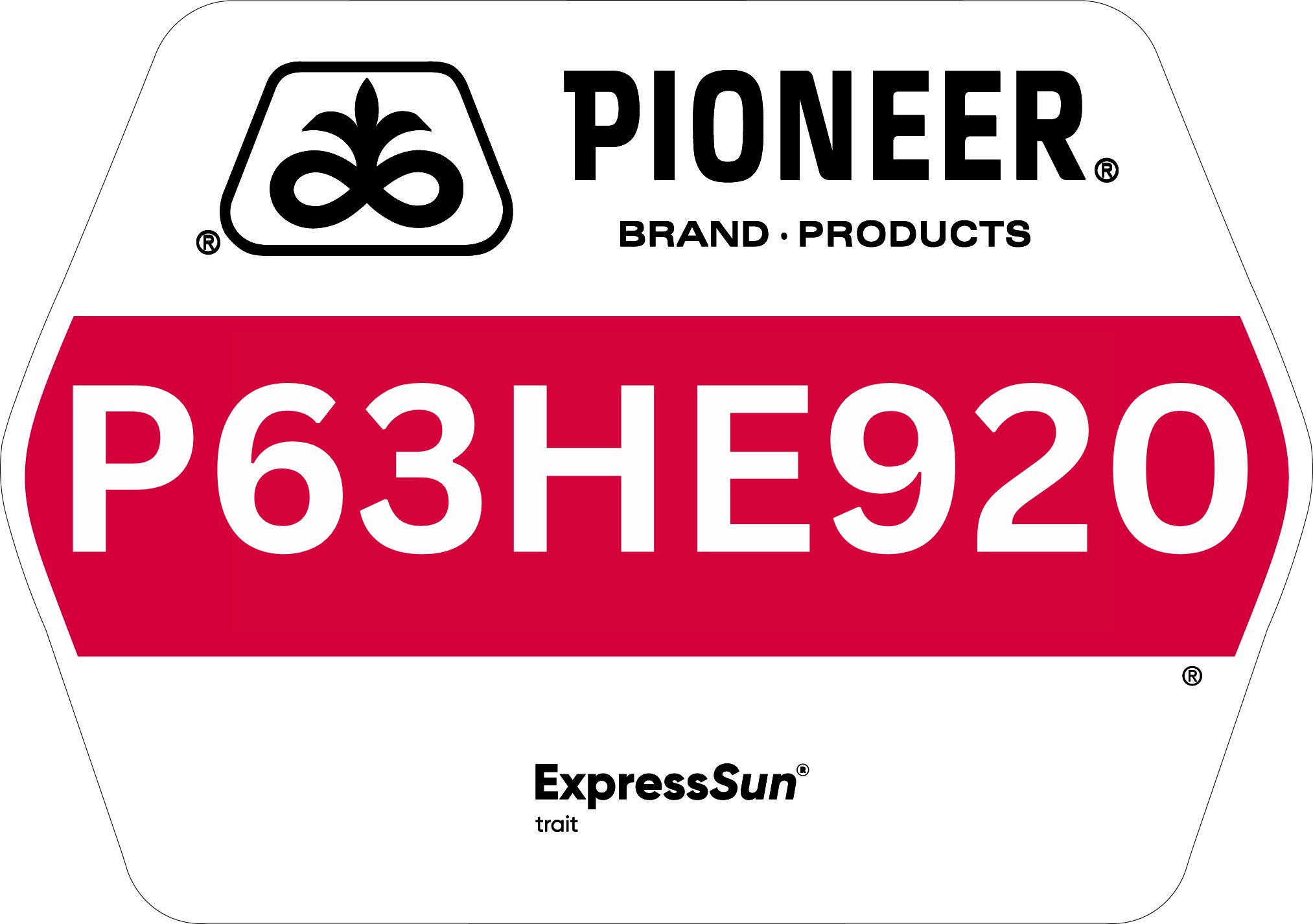 Seed - Pioneer - Sunflowers - P63HE920