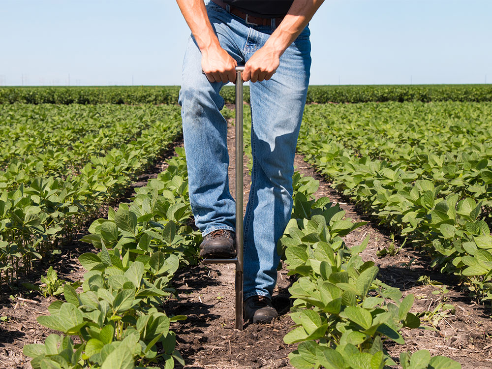 Soil Sampling